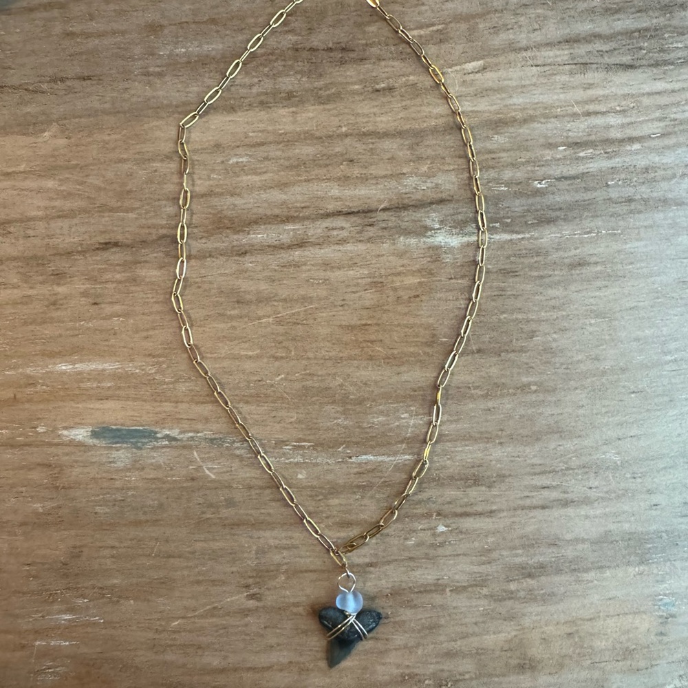 Gold Chain Shark Tooth Necklace